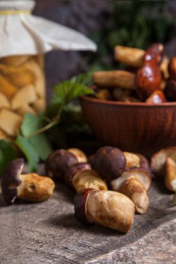 Sonbahar kompozisyonu boletus badius, imleria badia ya da bay bolete, mantarlı kil kasesi ve konserve mantarı klasik ahşap arka planda ve sırtında yeşil sarmaşık yaprağı. Yenilebilir ve gözenekli mantarların kadife rengi kahverengi veya kestane rengi kolları vardır.