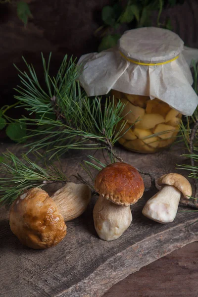 森林可食蘑菇的作物 松木枝条的复古木背景上的3个香菇 Cep Porcino或King Bolete 通常称为Boletus Edulis 和装有罐头蘑菇的玻璃瓶的组成 — 图库照片