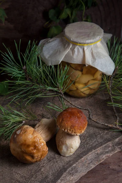 Crop Forest Edible Mushrooms Composition Two Porcini Mushrooms Cep Porcino — Stock Photo, Image