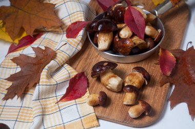 Sonbahar kompozisyonu Imleria Badia ya da Boletus badius mantarları yaygın olarak körfez boleti olarak bilinen ve ahşap kesme tahtasındaki mantarlar ile canlı sonbahar yaprakları. Yenilebilir ve gözenekli mantarların kadife kahverengi veya kestane rengi vardır.