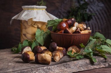 Sonbahar kompozisyonu boletus badius, imleria badia ya da bay bolete, mantarlı kil kasesi ve konserve mantarı klasik ahşap arka planda ve sırtında yeşil sarmaşık yaprağı. Yenilebilir ve gözenekli mantarların kadife rengi kahverengi veya kestane rengi kolları vardır.