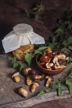 Sonbahar kompozisyonu boletus badius, imleria badia ya da bay bolete, mantarlı kil kasesi ve konserve mantarı klasik ahşap arka planda ve sırtında yeşil sarmaşık yaprağı. Yenilebilir ve gözenekli mantarların kadife rengi kahverengi veya kestane rengi kolları vardır.