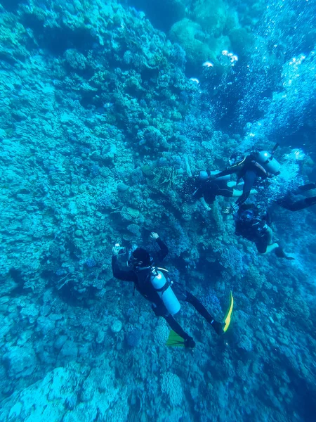 Buceadores Los Buceadores Exploran Los Arrecifes Coral Mar Tropical Vida — Foto de Stock
