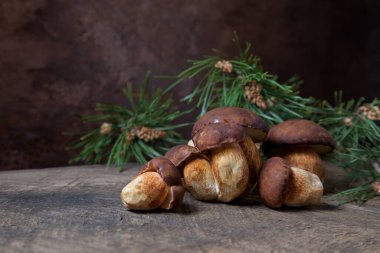 Birkaç Boletus badius, imleria badia ya da Bay bolete mantarlarının sonbahar kompozisyonu. Arkasında yeşil çam dalı olan eski ahşap arka planda. Yenilebilir ve gözenekli mantarların kadife rengi kahverengi veya kestane rengi başlıkları vardır.