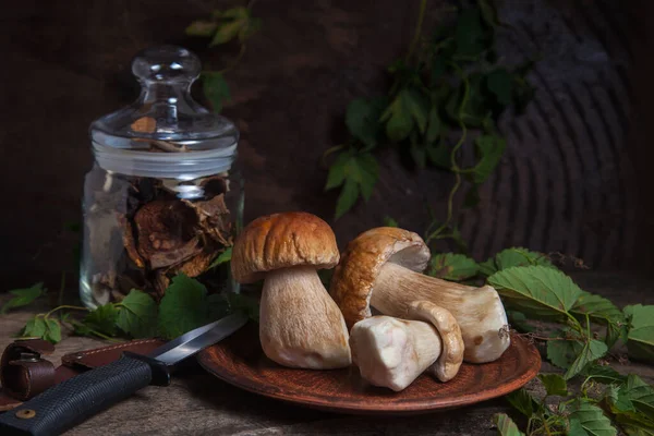 森林可食蘑菇的作物 用香菇 Cep Porcino King Bolete Usually Called Boletus Edulis — 图库照片
