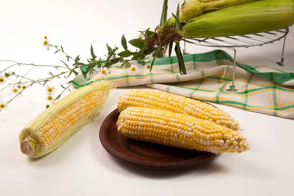 Clay plate with two ears of ripe sweet corn and green towel on vintage white wooden background. Cobs with white and yellow grains. Fresh ear of corn with green leaves.