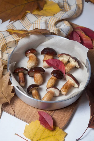 Boletus Badius, Imleria Badia ya da Bay Bolete mantarları ile birlikte ahşap kesme tahtasının üzerinde kurutulmaya hazır ve canlı sonbahar yapraklarının sonbahar kompozisyonu. Yenilebilir ve gözenekli mantarların kadife rengi kahverengi veya kestane rengi başlıkları vardır.