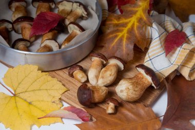 Imleria Badia ya da Boletus badius mantarlarının sonbahar kompozisyonu. Genellikle körfez boleti olarak bilinir. Mantarlar ahşap kesme tahtasında kurutulmaya hazır, canlı sonbahar yapraklarıyla. Yenilebilir ve gözenekli mantarların kadife gibi koyu 