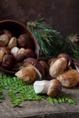 Boletus badius, imleria badia ya da Bay bolete ve Porcini mantarlarının sonbahar kompozisyonu yaygın olarak Boletus Edulis olarak bilinir, kil kase ile mantarlar eski ahşap arka planda yeşil çam ağacı dalı ve eğreltiotu yaprağı sırtı