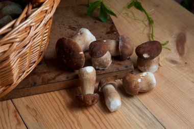 Yenebilir orman mantarları. Birçok porcini mantarı (sepet, porcino veya kral bolete, genellikle boletus edulis olarak bilinir), mantarlı hasır sepeti ve sonbahar mevsiminde ahşap zemin üzerinde yabani üzüm yaprakları.