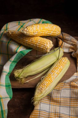 Birkaç tane olgun mısır ve eski ahşap arka planda yeşil havlu. Beyaz ve sarı taneli koçanlar. Arka planda yeşil yapraklı taze mısır kulakları.
