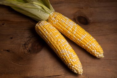 İki tane olgun mısır ve eski ahşap arka planda sarı havlu. Beyaz ve sarı taneli koçanlar