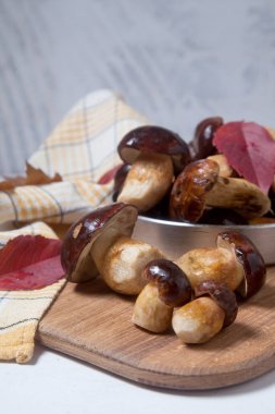 Sonbahar kompozisyonu Imleria Badia ya da Boletus badius mantarları yaygın olarak körfez boleti olarak bilinen ve ahşap kesme tahtasındaki mantarlar ile canlı sonbahar yaprakları. Yenilebilir ve gözenekli mantarların kadife kahverengi veya kestane rengi vardır.