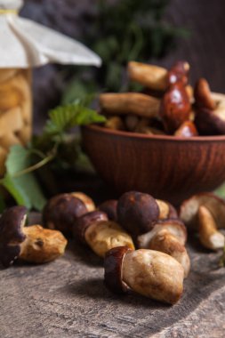 Sonbahar kompozisyonu boletus badius, imleria badia ya da bay bolete, mantarlı kil kasesi ve konserve mantarı klasik ahşap arka planda ve sırtında yeşil sarmaşık yaprağı. Yenilebilir ve gözenekli mantarların kadife rengi kahverengi veya kestane rengi kolları vardır.