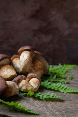 Boletus badius, imleria badia ya da Bay bolete 'nin sonbahar kompozisyonu. Sırtında eğreltiotu yeşili yaprak olan eski ahşap arka planda. Yenilebilir ve gözenekli mantarların kadife rengi kahverengi veya kestane rengi başlıkları vardır.