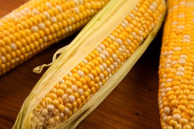 Kaliteli beyaz ahşap arka planda üç tane olgun tatlı mısırlı tahta kesme manzarası. Beyaz ve sarı taneli koçanlar