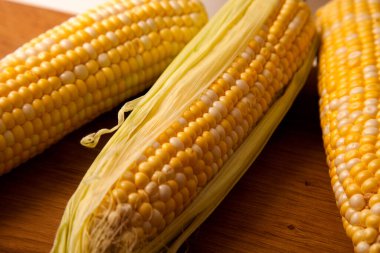 Kaliteli beyaz ahşap arka planda üç tane olgun tatlı mısırlı tahta kesme manzarası. Beyaz ve sarı taneli koçanlar