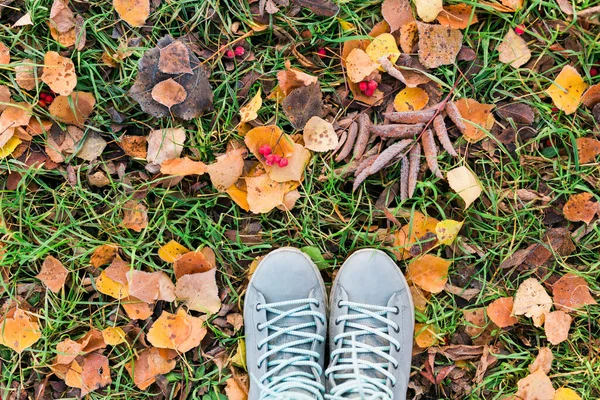 Top view shoes on autumn forest ground with frost and leaves falling on ground landscape. Close up of fallen leaves. forest dry leaves