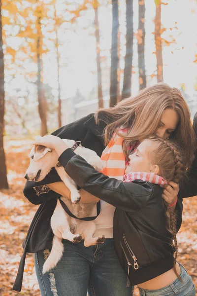 Babička Vnučkou Podzimním Parku Dívka Objímající Babičku Jejího Psa Jacka — Stock fotografie