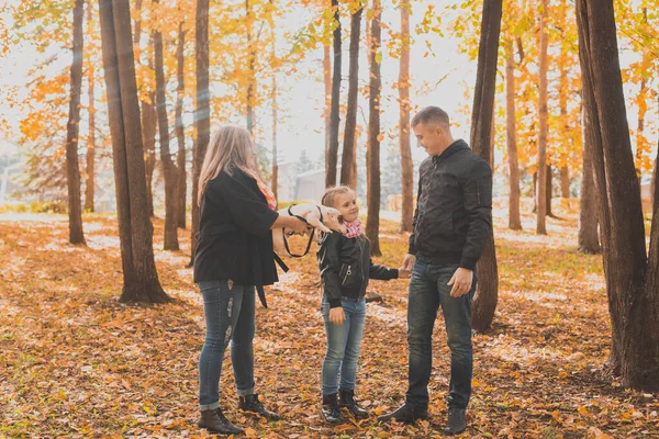 一家人在秋天的公园里和一只狗呆在一起 女儿和杰克 罗斯塞尔的小狗在秋天玩得很开心 — 图库照片