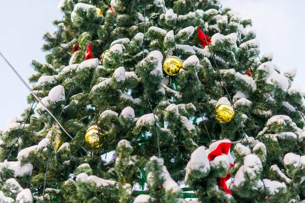 Decorated Christmas Tree Town Square Xmas Winter Holidays Cityscape — Stock Photo, Image