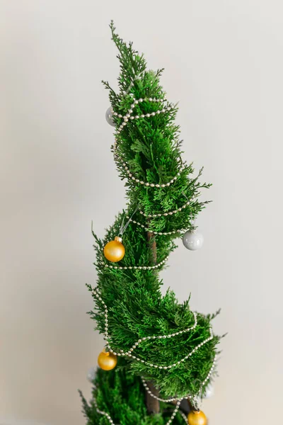Cipreste Interior Thuja Pote Está Decorando Bolas Como Árvore Natal — Fotografia de Stock