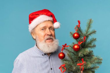 Mutlu Noel Baba 'nın portresi kameraya bakıp küçük bir Noel ağacı tutuyor.