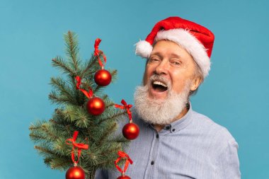 Mutlu Noel Baba 'nın portresi kameraya bakıp küçük bir Noel ağacı tutuyor.