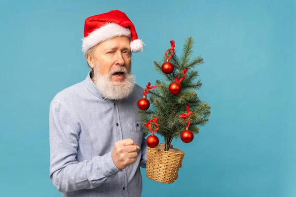 Portrait of happy Santa Claus excited looking at camera and holds small christmas tree