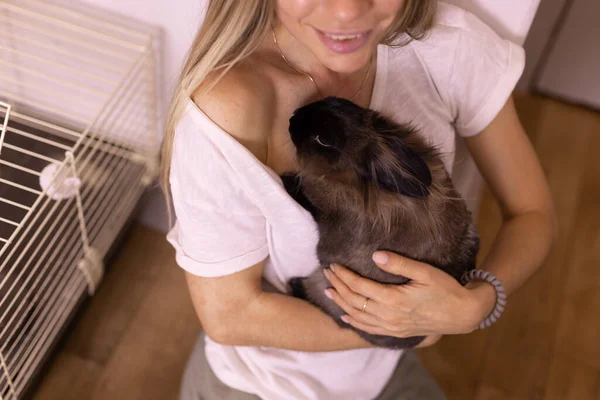 Смешной Милый Коричневый Кролик Руках Владельца Домашнего Животного Кролик Домашнее — стоковое фото