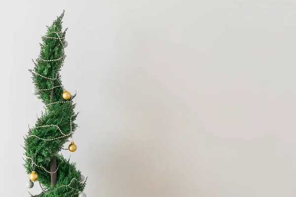 Cipreste Interior Thuja Pote Está Decorando Bolas Como Árvore Natal — Fotografia de Stock