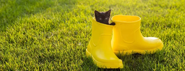 Roztomilé Černé Kotě Sedící Žlutých Botách Trávě Roztomilý Obrázek Pro — Stock fotografie