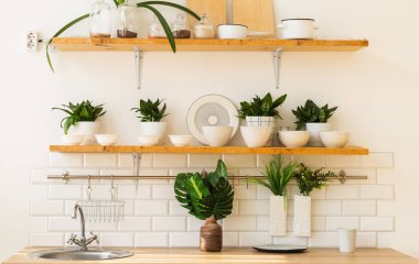 Şık İskandinav açık alanı mutfak aksesuarları ve bitkilerle