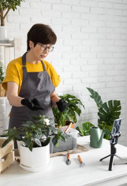 Female blogger sits in front of smartphone camera on tripod records instructional tutorial video for her blog shoots process of replanting flowers and green plants