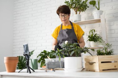 Female blogger sits in front of smartphone camera on tripod records instructional tutorial video for her blog shoots process of replanting flowers and green plants
