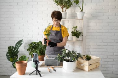 Female blogger sits in front of smartphone camera on tripod records instructional tutorial video for her blog shoots process of replanting flowers and green plants
