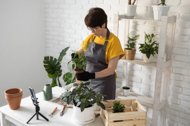 Female blogger sits in front of smartphone camera on tripod records instructional tutorial video for her blog shoots process of replanting flowers and green plants