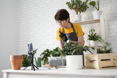 Female blogger sits in front of smartphone camera on tripod records instructional tutorial video for her blog shoots process of replanting flowers and green plants