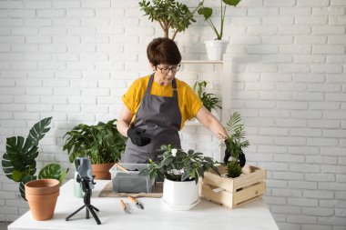 Female blogger sits in front of smartphone camera on tripod records instructional tutorial video for her blog shoots process of replanting flowers and green plants