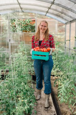 Organic female farmer holding box full of fresh produce on her farm. Happy young woman smiling at camera while standing in her vegetable garden. Successful farmer harvesting vegetables