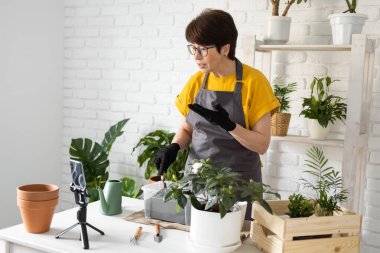Female blogger sits in front of smartphone camera on tripod records instructional tutorial video for her blog shoots process of replanting flowers and green plants