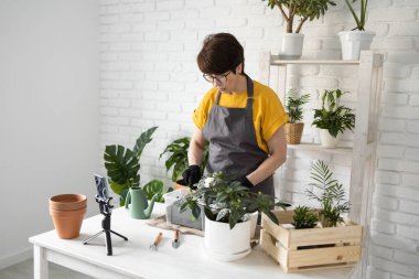 Relaxing home gardening. Smiling middle aged woman in black gloves with potted plant records gardening video blog in modern house - blogging and florist vlog influencer.