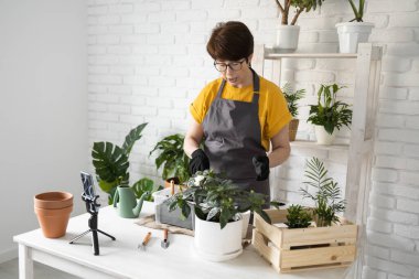 Female blogger sits in front of smartphone camera on tripod records instructional tutorial video for her blog shoots process of replanting flowers and green plants