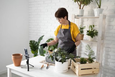 Relaxing home gardening. Smiling middle aged woman in black gloves with potted plant records gardening video blog in modern house - blogging and florist vlog influencer.