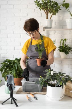 Relaxing home gardening. Smiling middle aged woman in black gloves with potted plant records gardening video blog in modern house - blogging and florist vlog influencer.