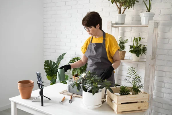 Relaxing home gardening. Smiling middle aged woman in black gloves with potted plant records gardening video blog in modern house - blogging and florist vlog influencer.