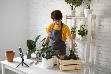 Female blogger sits in front of smartphone camera on tripod records instructional tutorial video for her blog shoots process of replanting flowers and green plants