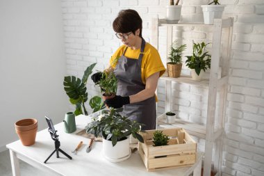 Female blogger sits in front of smartphone camera on tripod records instructional tutorial video for her blog shoots process of replanting flowers and green plants