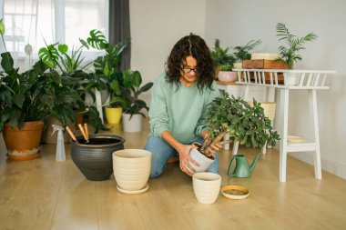 Spring hobby happy young woman transplanting in flower pot houseplant with dirt or soil at home. Gardening plant and green tropical