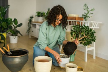 Smiling young woman and pot with plant happy work in indoor garden or cozy home office with different houseplants. Happy millennial female gardener florist take care of domestic flower